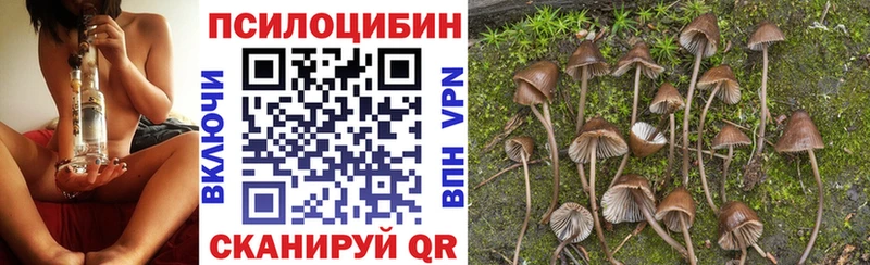 Купить где  Малоярославец  Галлюциногенные грибы ЛСД 